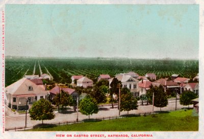 Castro Street, Hayward, Kalifornia, 1905 autorstwa Unbekannt