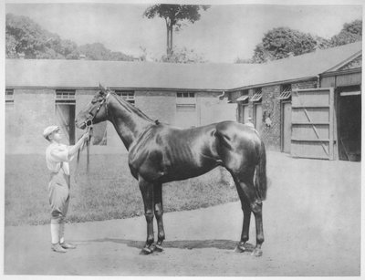 Chandon, 1911 autorstwa Unbekannt