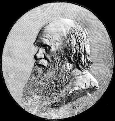 Karol Darwin, 1882 r. autorstwa Unbekannt