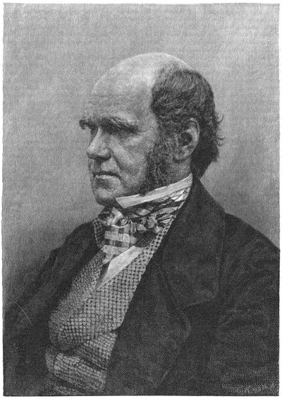 Karol Darwin, angielski przyrodnik, 1884 autorstwa Unbekannt