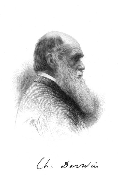 Karol Darwin, angielski przyrodnik, ok. 1880 r. autorstwa Unbekannt