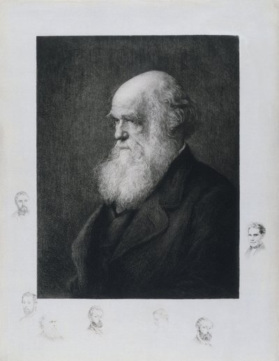 Karol Darwin, angielski przyrodnik, ok. 1860 autorstwa Unbekannt