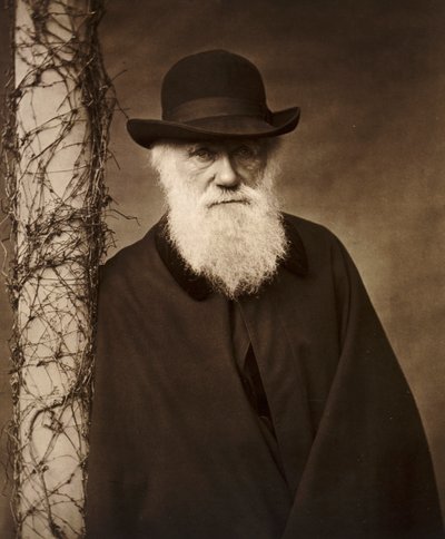 Karol Darwin w swoim domu w Down House, Kent, ok. 1880 r. autorstwa Unbekannt