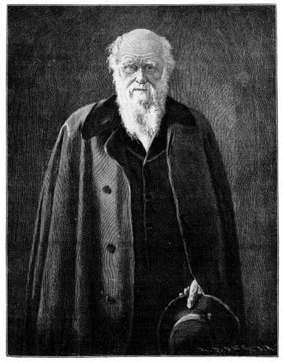 Karol Darwin, znany przyrodnik i myśliciel, 1900 autorstwa Unbekannt