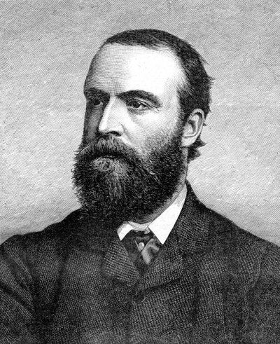 Charles Stuart Parnell, XIX-wieczny polityk irlandzki, c1874-1891 autorstwa Unbekannt