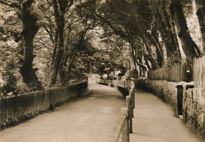 Chine Avenue, Shanklin, IW, ok. 1920 r. autorstwa Unbekannt