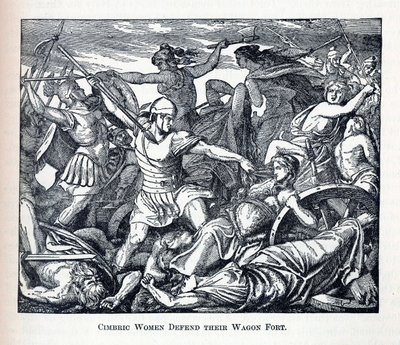 Kobiety Cimbric bronią fortu wozów, 1882 r autorstwa Unbekannt