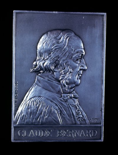 Claude Bernard, XIX-wieczny francuski fizjolog, 1913 autorstwa Unbekannt