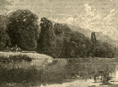 Cliefden Woods, 1898. autorstwa Unbekannt