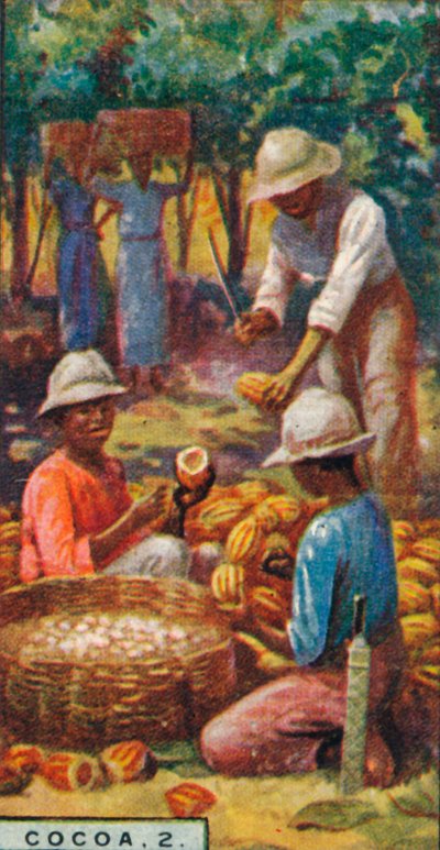 Kakao, 2. - Otwarcie strąków, Trynidad, 1928 autorstwa Unbekannt