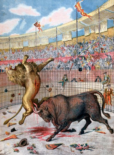 Walka lwa z bykiem, Hiszpania, 1894 autorstwa Unbekannt