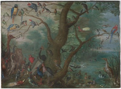 Koncert ptaków, 16601670. autorstwa Unbekannt