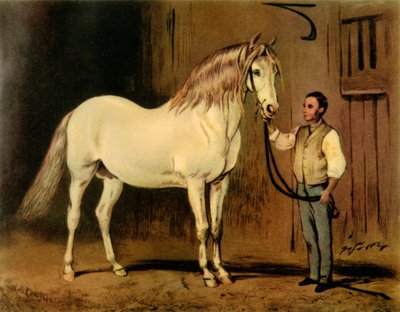 „Cream State Carriage Horse of Queen Victoria