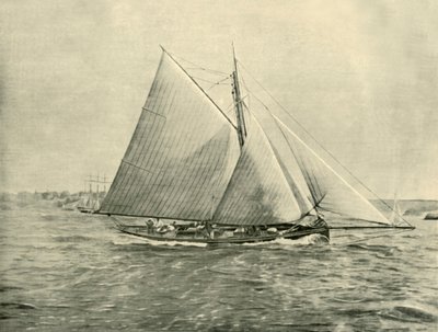 Rejs w Port Jackson, 1901. autorstwa Unbekannt