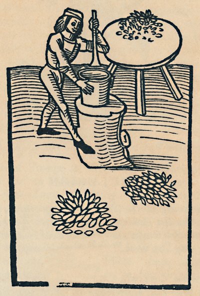Kruszenie ziół w moździerzu, 1947 autorstwa Unbekannt