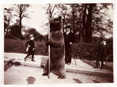 Tańczący niedźwiedź, ok. 1905 autorstwa Unbekannt