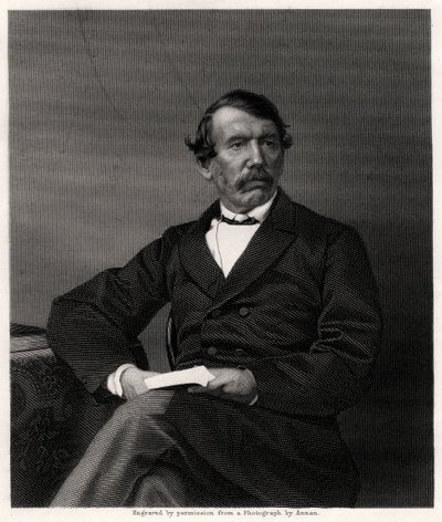 David Livingstone, szkocki misjonarz i afrykański odkrywca, XIX wiek autorstwa Unbekannt