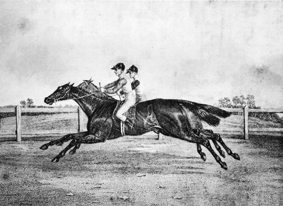 Dead-Heat między Lanercost a Beeswing, 1835-1850, 1911 autorstwa Unbekannt