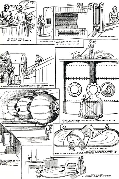 Schematy ilustrujące przygotowanie szmat i trawy esparto do produkcji papieru, c1917 autorstwa Unbekannt