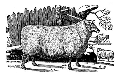 Owce Dishley New Leicester, 1811 autorstwa Unbekannt