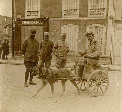 Wózek dla psów, Francja, c1914-c1918 autorstwa Unbekannt