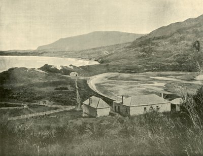 Szyja orła jastrzębia, Półwysep Tasmana, 1901. autorstwa Unbekannt