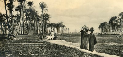 Egipt - tubylcze kobiety, c1918-c1939. autorstwa Unbekannt