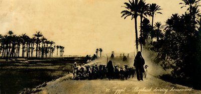 Egipt - Pasterz jadący do domu, c1918-c1939. autorstwa Unbekannt