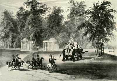 Słonie i ochrona ciała w Barrackpore Park, 1820, 1925. autorstwa Unbekannt