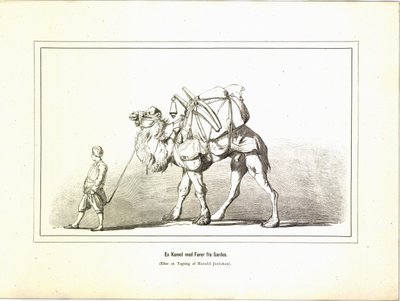 Wielbłąd z przywódcą z Sardes. Ilustracja zaczerpnięta z książki Variegated travel pictures autorstwa Jerichau-Baumann, Elisabeth i opublikowana przez Forlagsbureauet (Kopenhaga, 1881) autorstwa Unbekannt