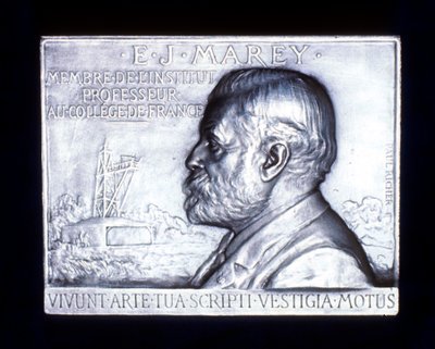 Etienne Jules Marey 1830-1903, francuski fizjolog, XIX w. autorstwa Unbekannt