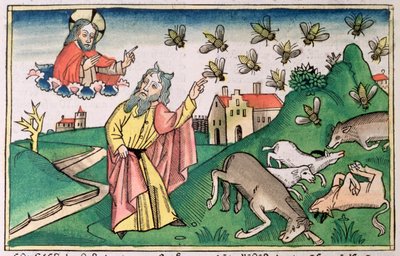 Wyjścia 8:20-32: Mojżesz i rój much, jedna z siedmiu plag egipskich autorstwa Unbekannt
