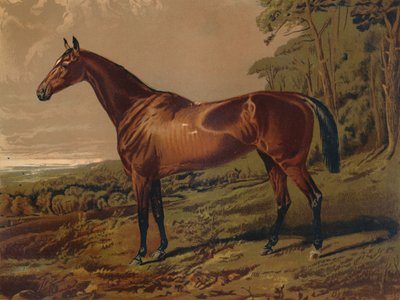 Fair Nel, c1879. autorstwa Unbekannt