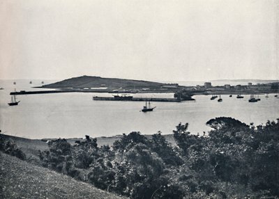 Falmouth - Widok ogólny, z Pendennis, 1895 autorstwa Unbekannt