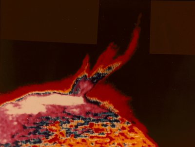 Fałszywy kolorowy obraz rozbłysku słonecznego ze Skylab, 1973 autorstwa Unbekannt
