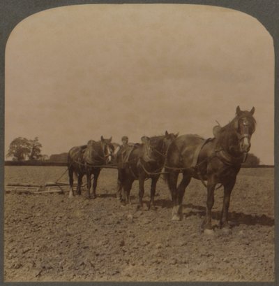 Rolnictwo w Anglii - Harrowing the Land, 1909. autorstwa Unbekannt