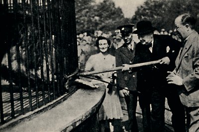 Karmienie Rota, Lew Pinner, lata 40., 1945. autorstwa Unbekannt