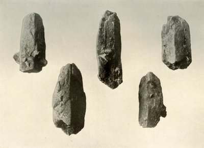 Kryształy skalenia ze szczytu góry Erebus naturalnej wielkości, 1909 autorstwa Unbekannt