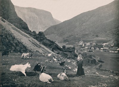 Flaam, 1914. autorstwa Unbekannt