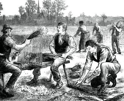 Falowanie lnu, ok. 1880 autorstwa Unbekannt
