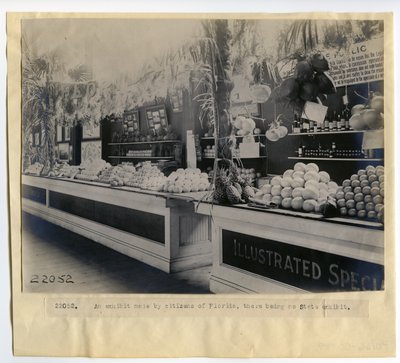 Wystawa ogrodnicza na Florydzie w Pałacu Ogrodnictwa na Światowych Targach w 1904 r. autorstwa Unbekannt