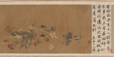 Kwiaty, owoce, muszle i owady, 1368-1644. autorstwa Unbekannt