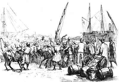 Żywność dla żołnierzy: bydło lądowe w Port Saidzie, ok. 1882 r. autorstwa Unbekannt