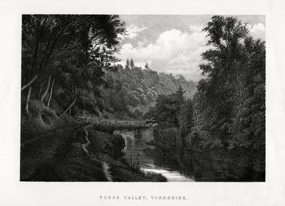 Forge Valley, Yorkshire, 1896 autorstwa Unbekannt
