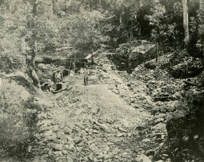 Fossickers w pracy, 1901. autorstwa Unbekannt