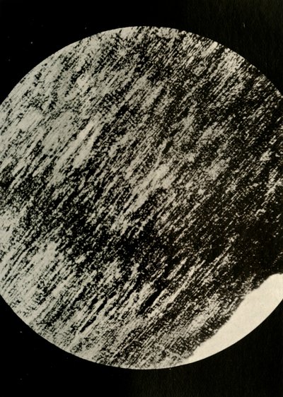 Fossil Wood w Sandstone, z moreny w 85° szerokości geograficznej południowej, c1908, 1909. autorstwa Unbekannt