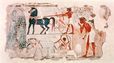 Fragment malowanego tynku starożytnego Egiptu przedstawiający opis żniw, ok. 1400 r. p.n.e. autorstwa Unbekannt