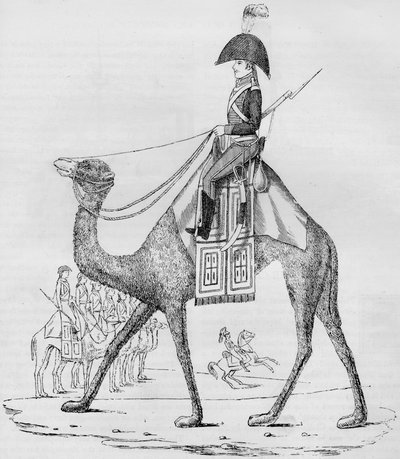 Francuski Pułk Dromaderów. Schwytany z konwojem na Pustyni Libijskiej, maj 1801, 1884 autorstwa Unbekannt