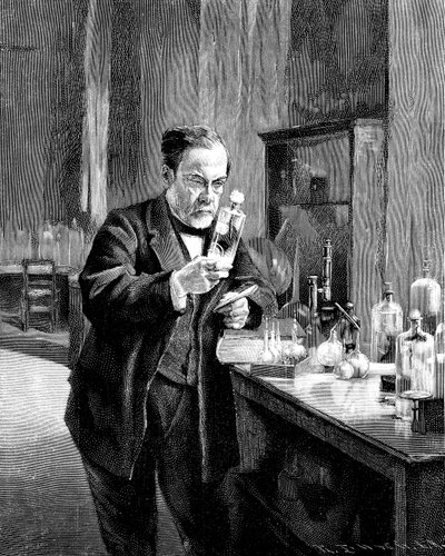 Francuski chemik i mikrobiolog Louis Pasteur 18221895 autorstwa Unbekannt