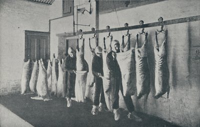 Mrożone Mięso, 1910 autorstwa Unbekannt